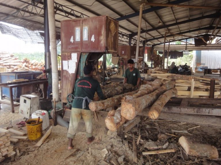 Wood Processing Living Nature