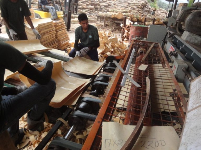 Wood Processing Living Nature